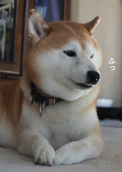 29日夜ブログ４
