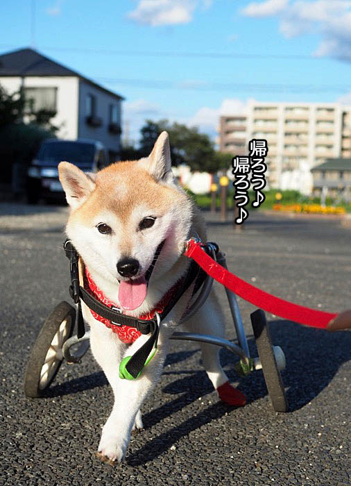 29日ブログ６