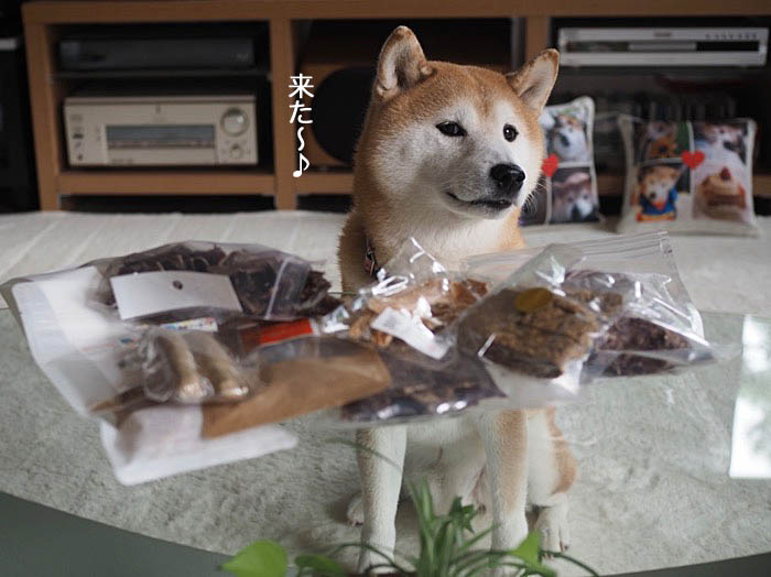 3日ブログ３