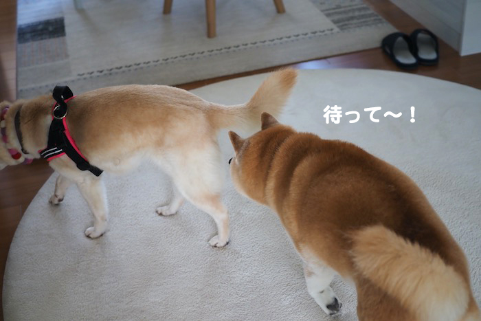15日夕ブログ６