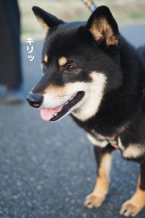8日夕ブログ４