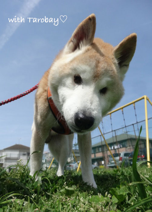 8日ブログ４