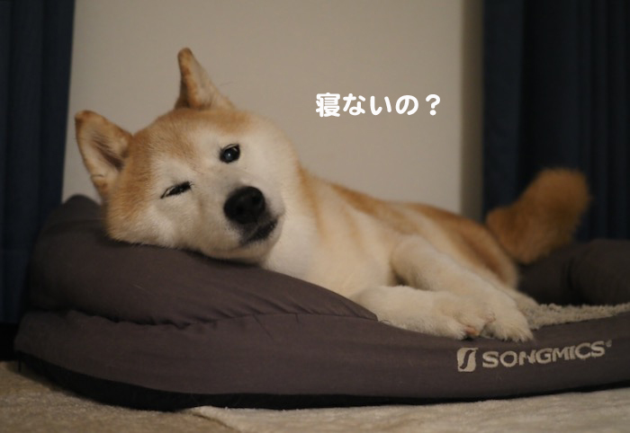 17日ブログ２