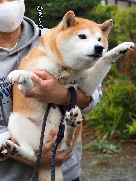 3日ブログ１０