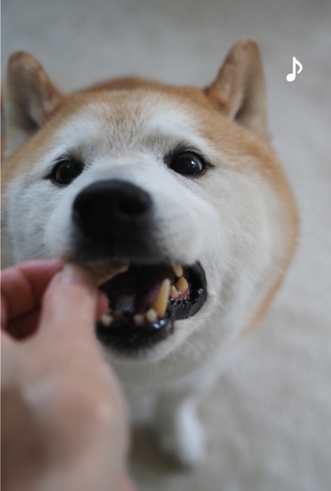 3日ブログ４