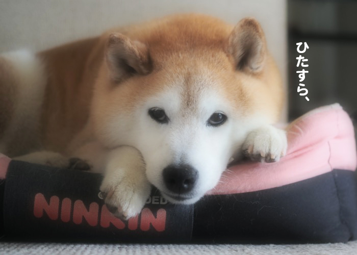 23日夕ブログ４
