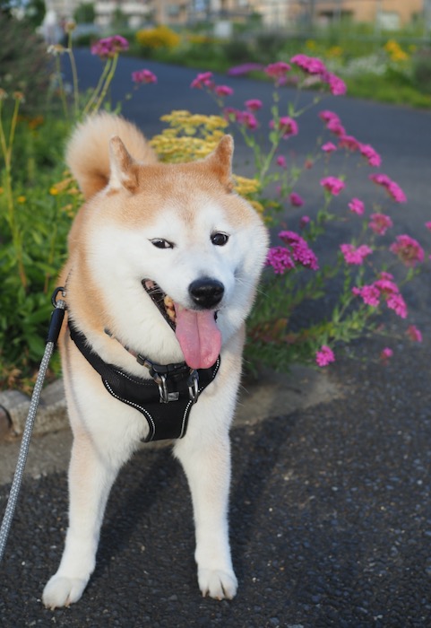 21日朝ブログ１