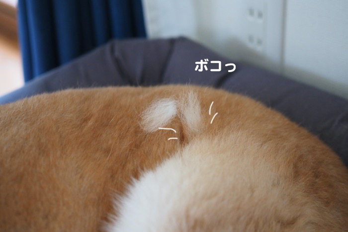28日夕ブログ３