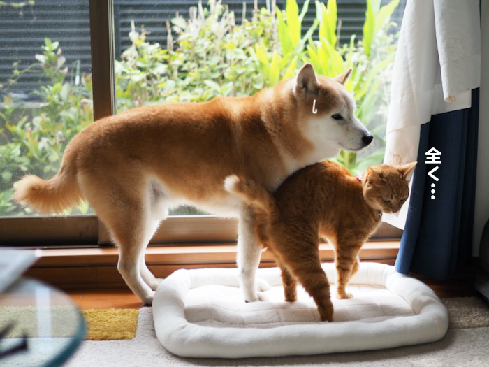 2日夕ブログ１２