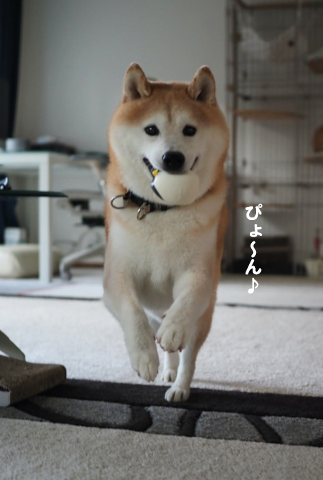 13日夕ブログ５