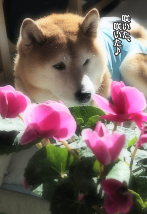 28日午前ブログ４