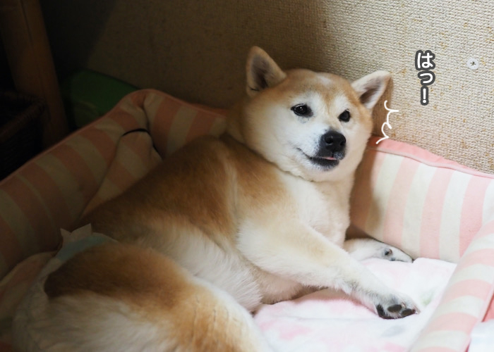 24日夜ブログ４