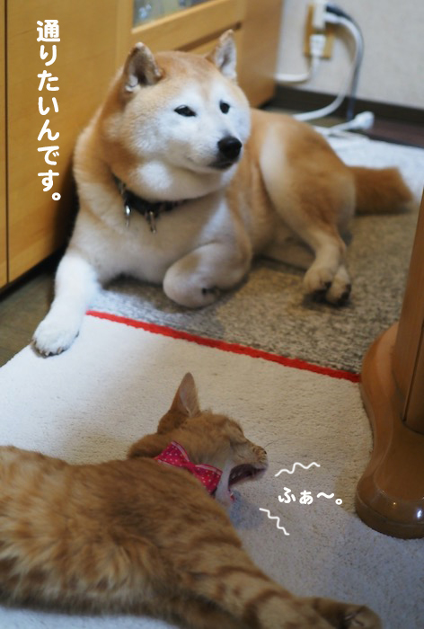 23日夕ブログ６