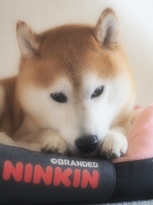 23日ブログ１