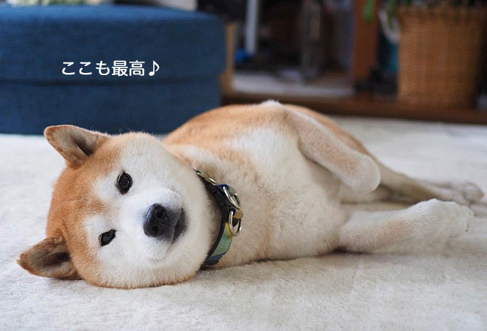 17日ブログ３