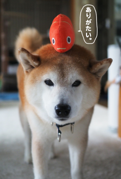 20日ブログ２