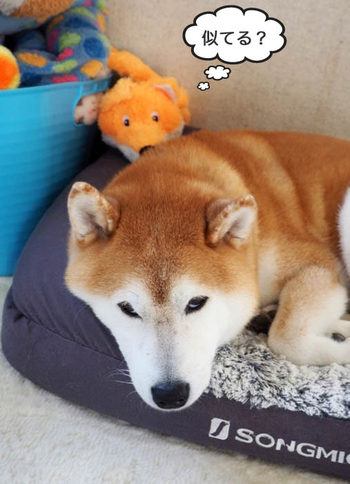5日夜ブログ３