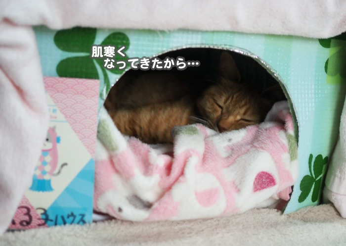 19日ブログ７