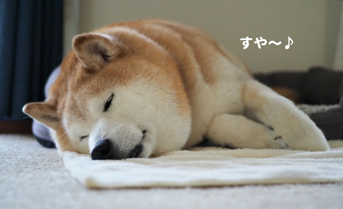 28日夕ブログ２