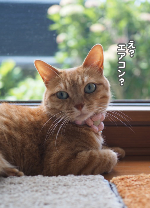 13日ブログ4