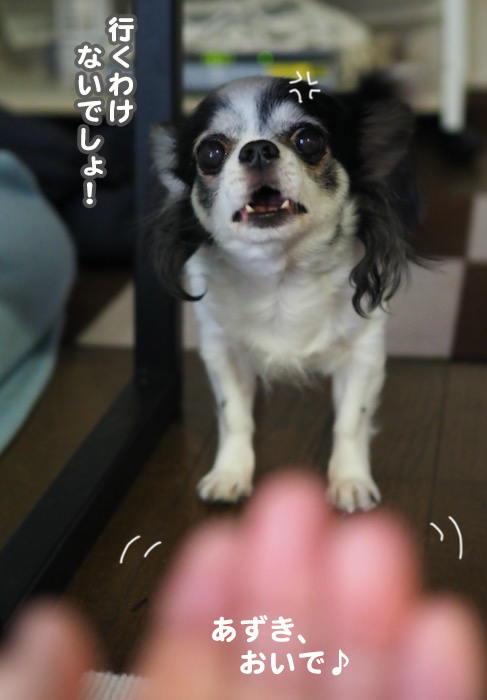 1日夕ブログ６