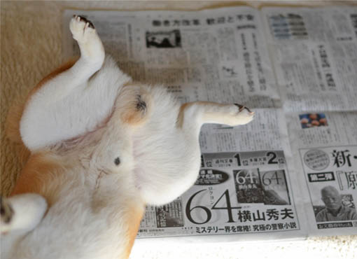 9日ブログ5.jpg