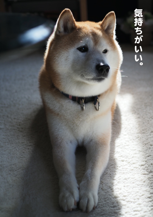 25日ブログ３