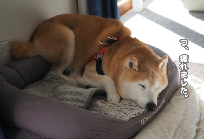 24日夕ブログ３