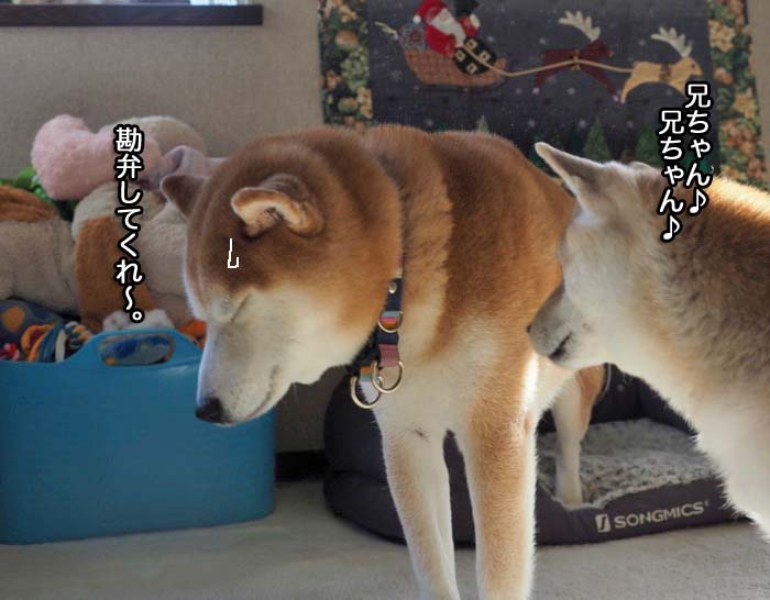 6日夜ブログ１２