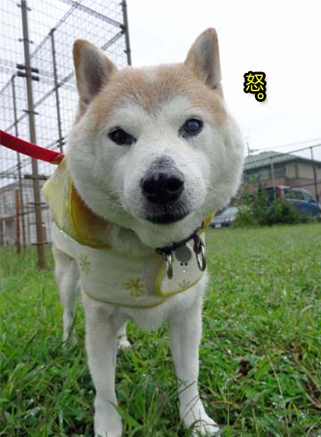 25日ブログ4.jpg