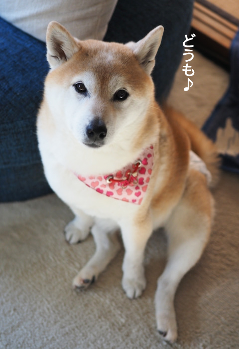 12日夜ブログ５