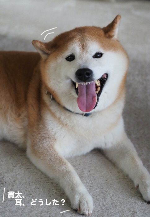 27日夕ブログ５