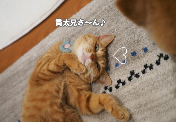 22日夕ブログ４