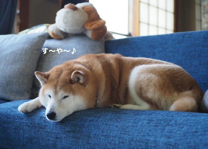 18日夕ブログ２