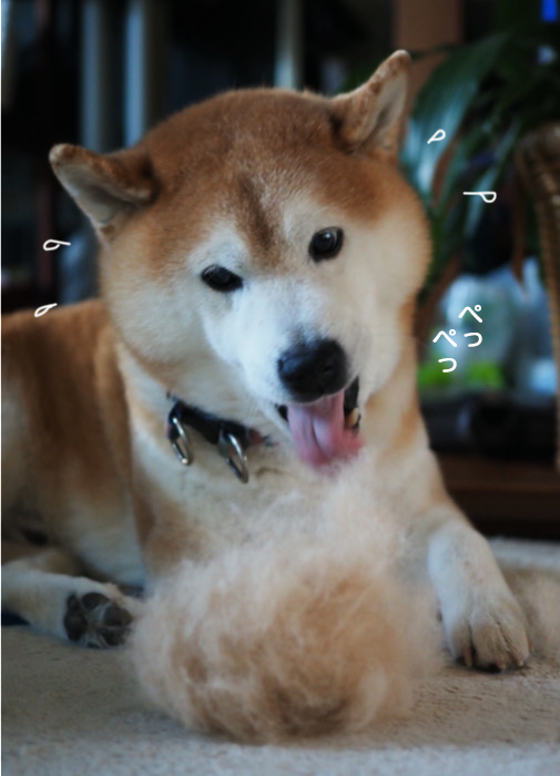 4日夕ブログ８