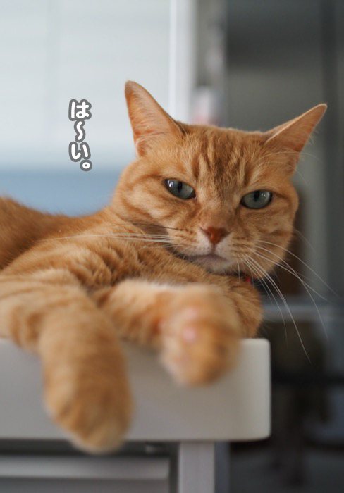 18日夕ブログ５