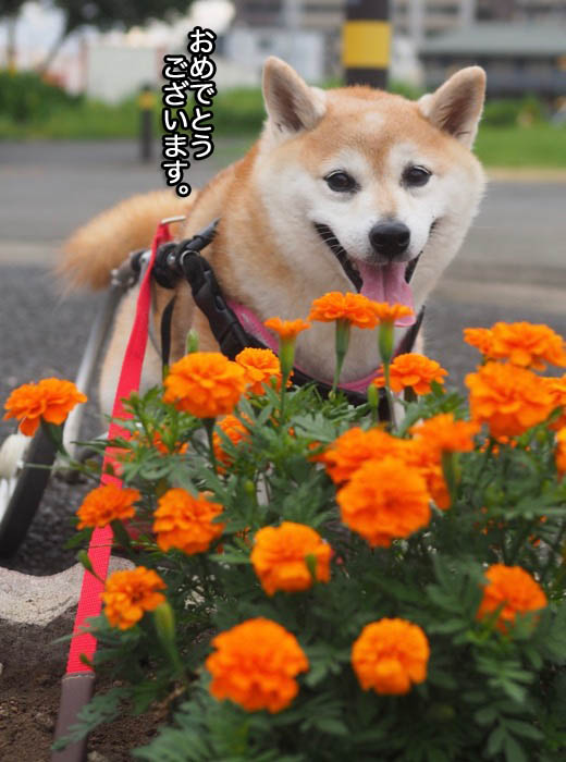 4日ブログ２
