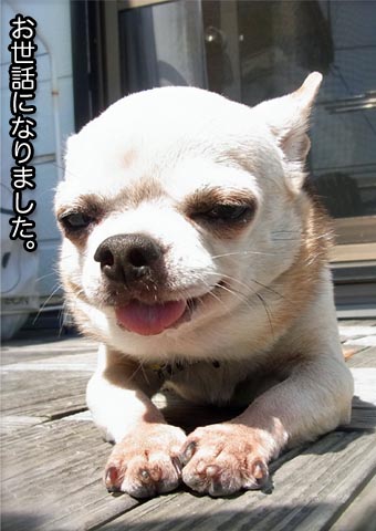 9日ブログ3.jpg