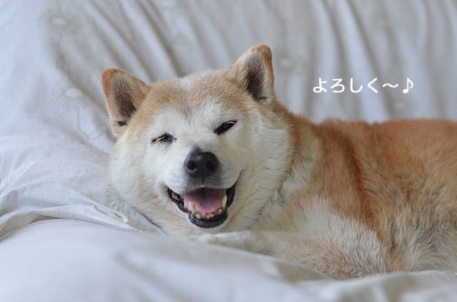 14日ブログ１２