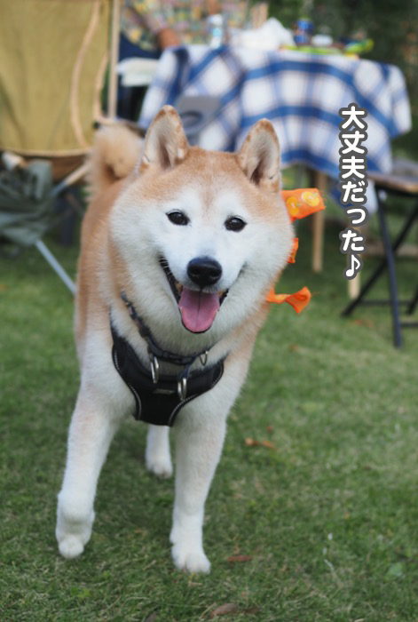 28日夕ブログ４