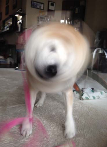 24日ブログ16.jpg