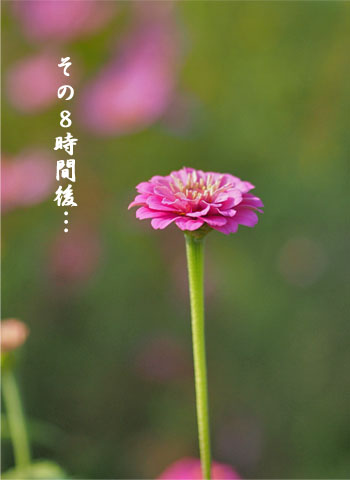 21日ブログ7.jpg