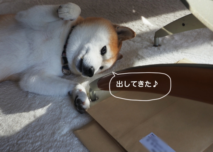 23日ブログ３