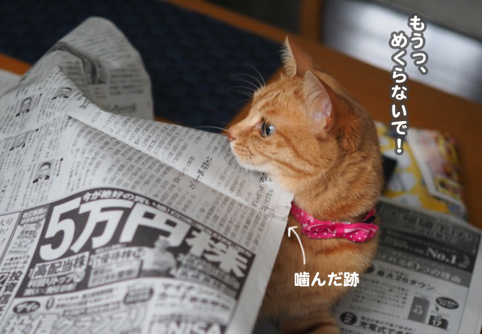 22日ブログ７