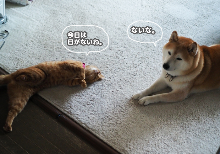 29日ブログ3