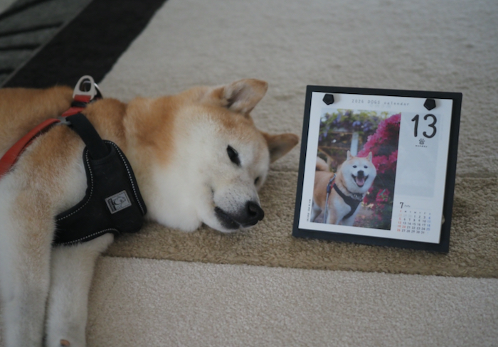 13日ブログ１