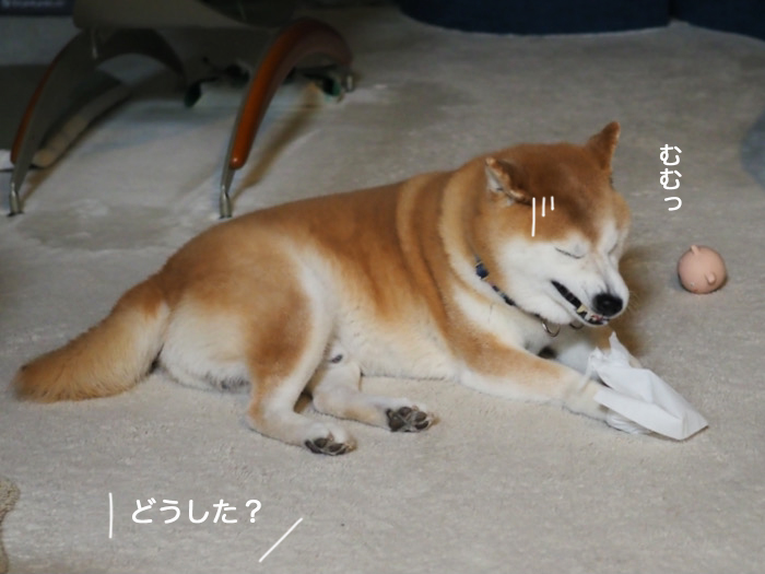 27日ブログ６