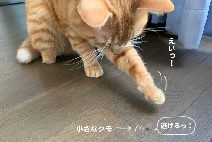 7日夕ブログ２