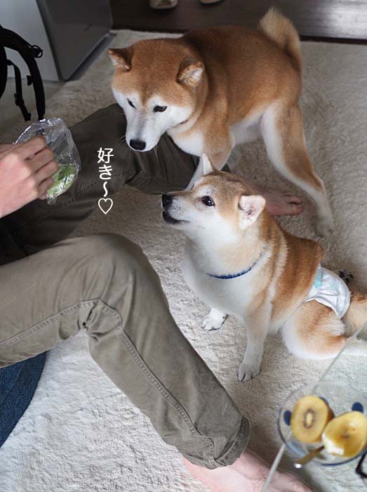19日ブログ３