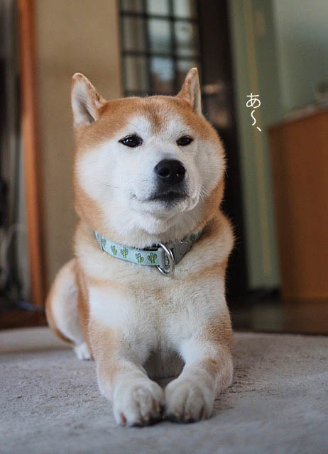 31日ブログ２